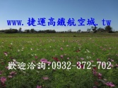 售桃園市中壢區月眉 (農+建地)建地7,917萬