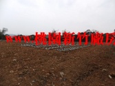 桃園市楊梅區出租~楊湖路農地(約705坪)農地 桃園市楊梅區出租~楊湖路農地(約705坪)農地