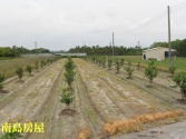 售屏東縣鹽埔鄉鹽埔維新路農地農地3,638萬